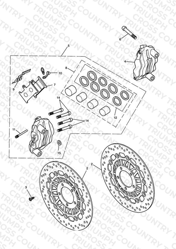 Front Brake Caliper & Discs