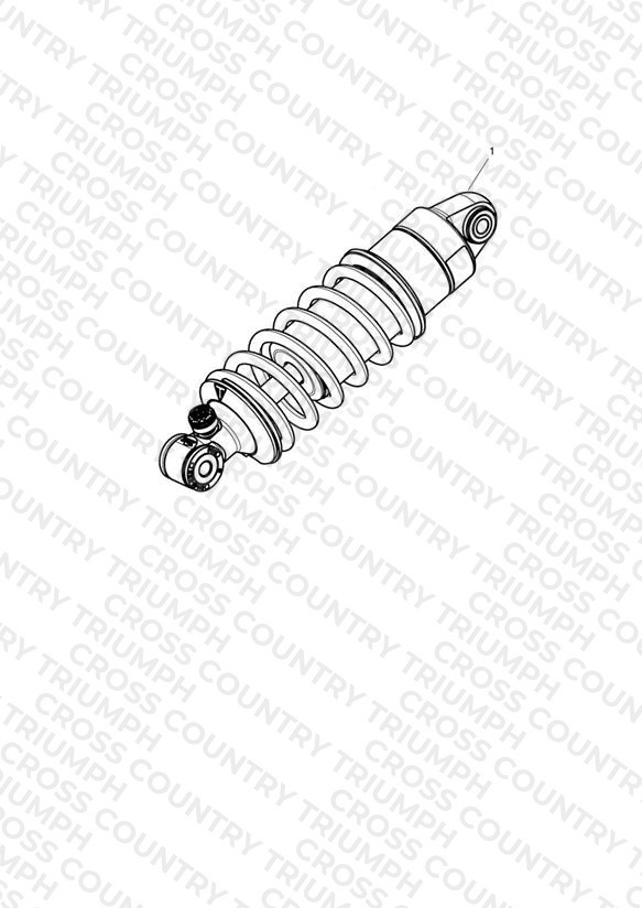 Rear Suspension Unit