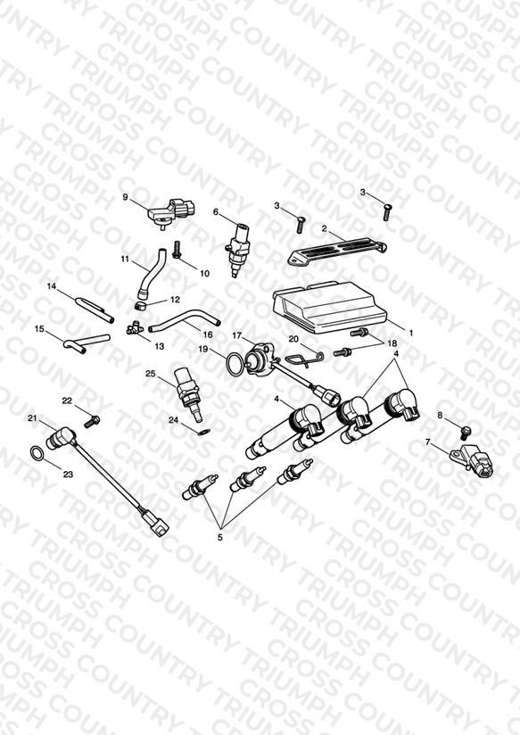 Engine Management System