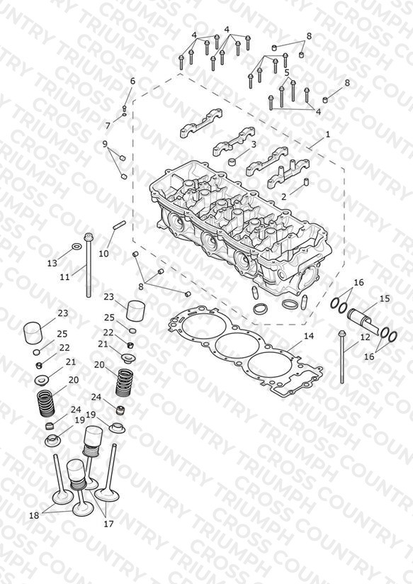 Cylinder Head & Valves