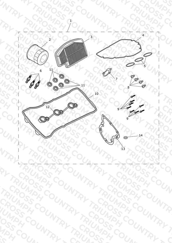 Engine Service Kit