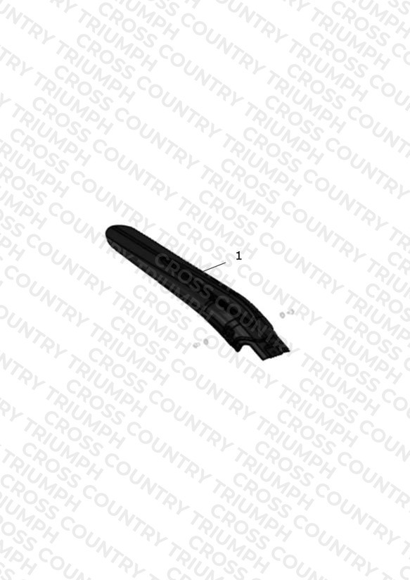Rear Mudguard