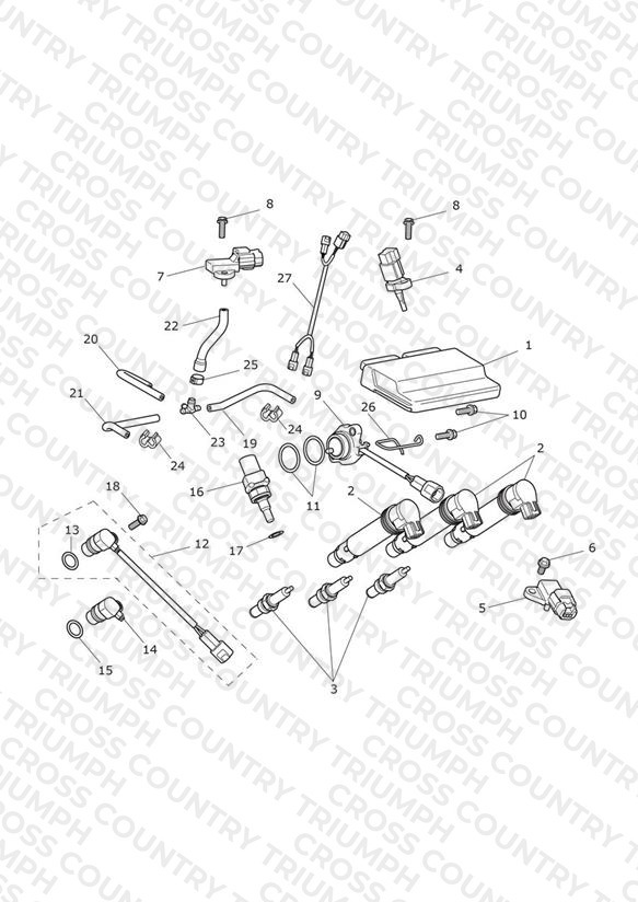 Engine Management System
