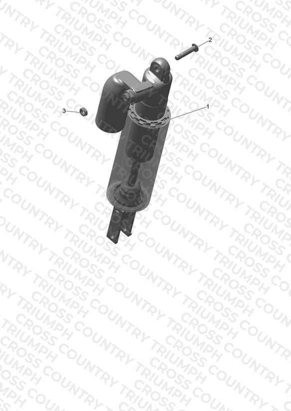 Rear Suspension Unit