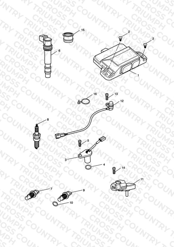 Engine Management System