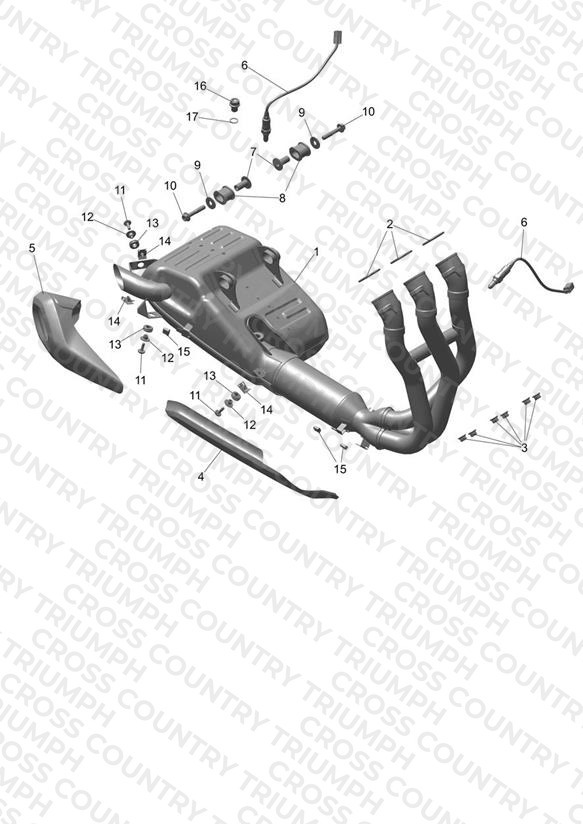 Exhaust System