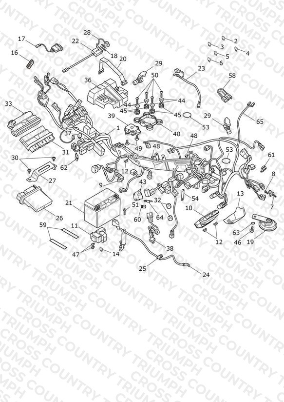 Electrical System
