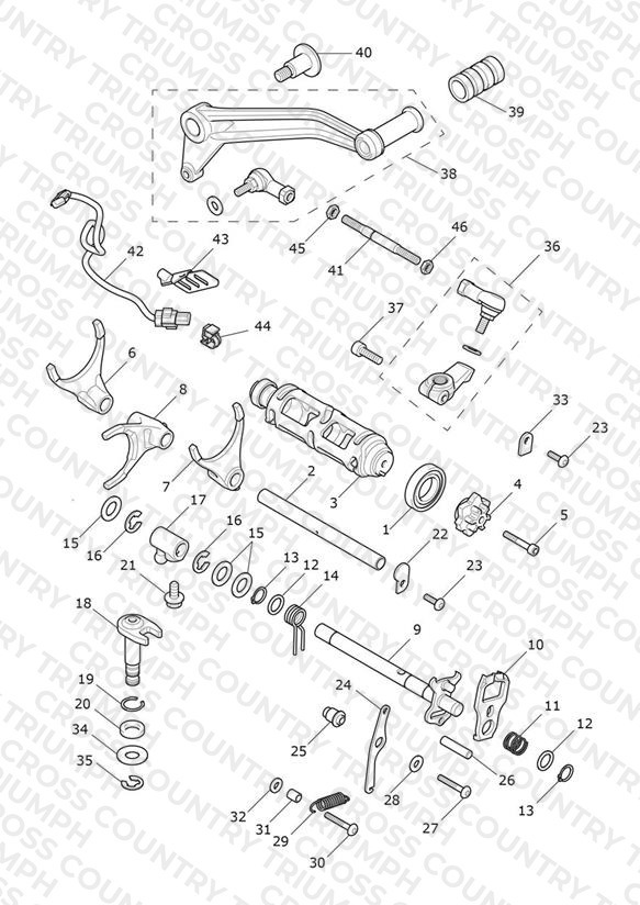 Gear Selectors & Pedal