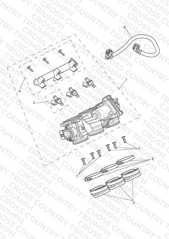 Throttles, Injectors and Fuel Rail
