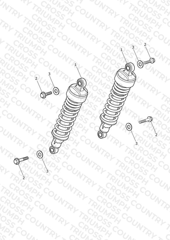 Rear Suspension Unit