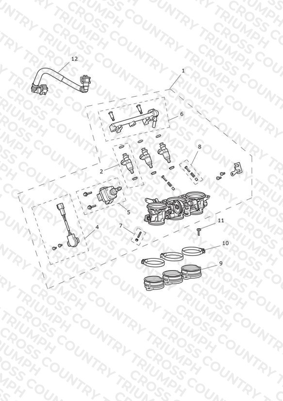 Throttles, Injectors and Fuel Rail
