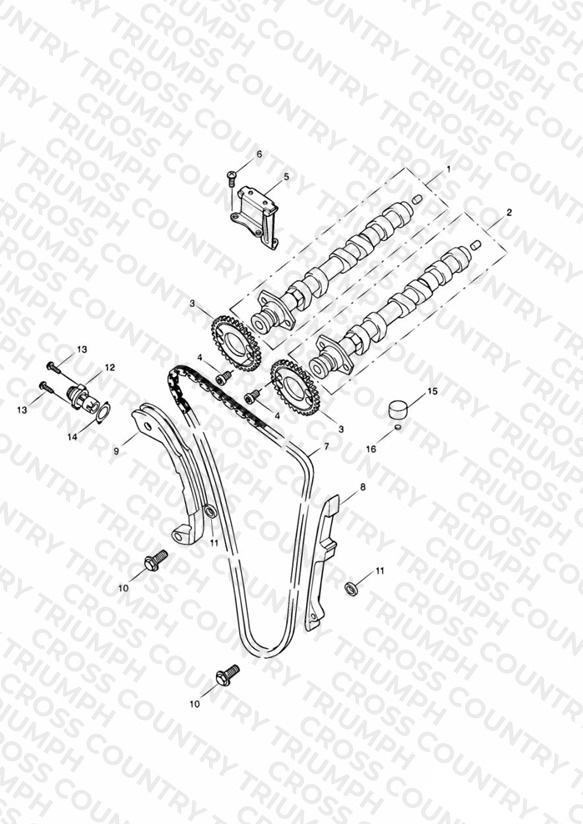 Camshaft and Drive