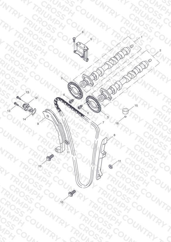 Camshaft & Camshaft Drive