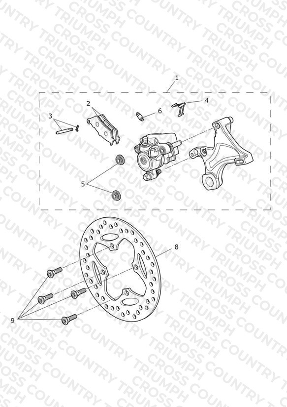 Rear Brake & Disc