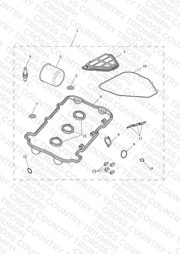 Engine Service Kits