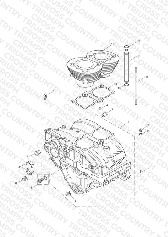 C/case & Fittings - Bonny T100 > Eng No 221608 (+ Eng No's 229407 > 230164)