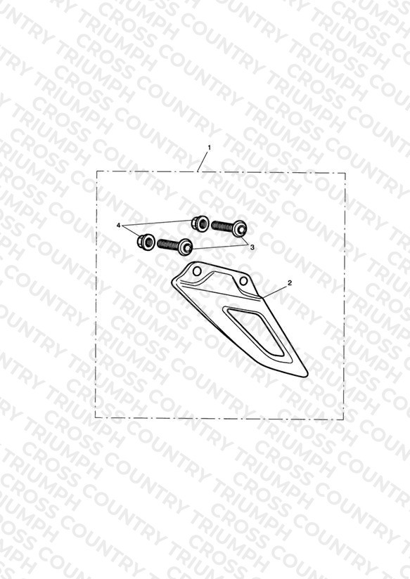 Low Chain Guard, Carbon Fibre