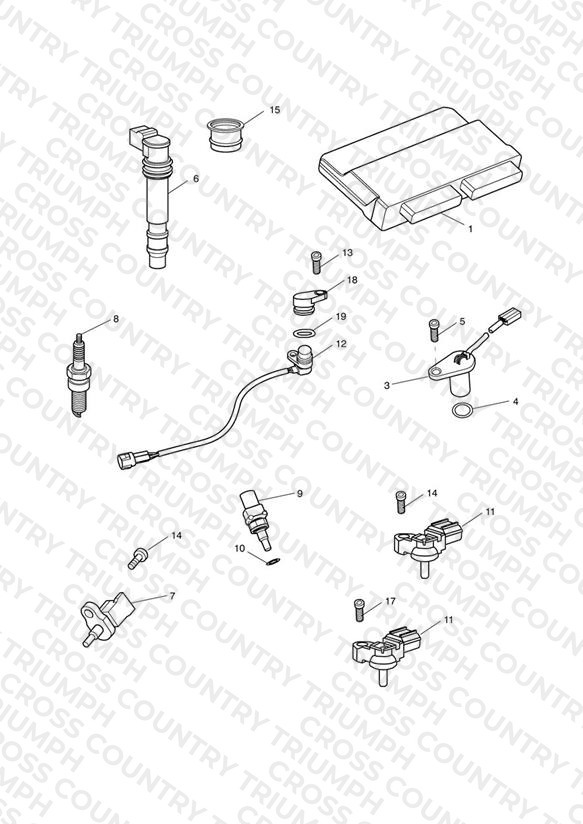 Engine Management System