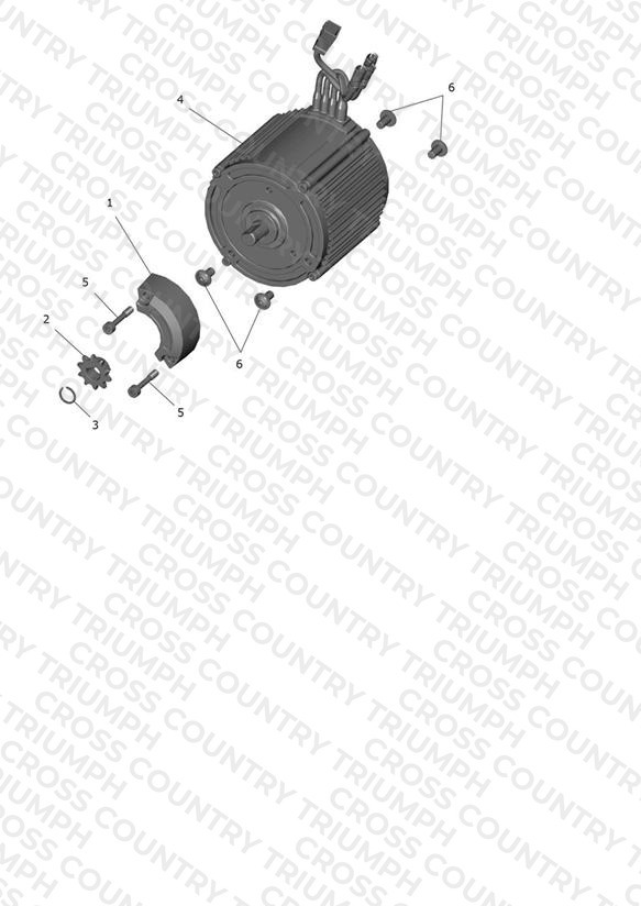 Motor