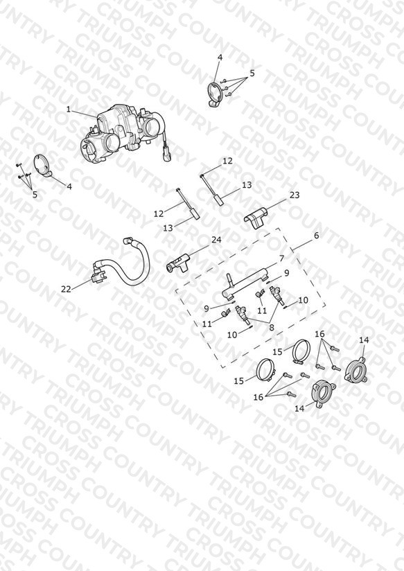 Throttle Bodies