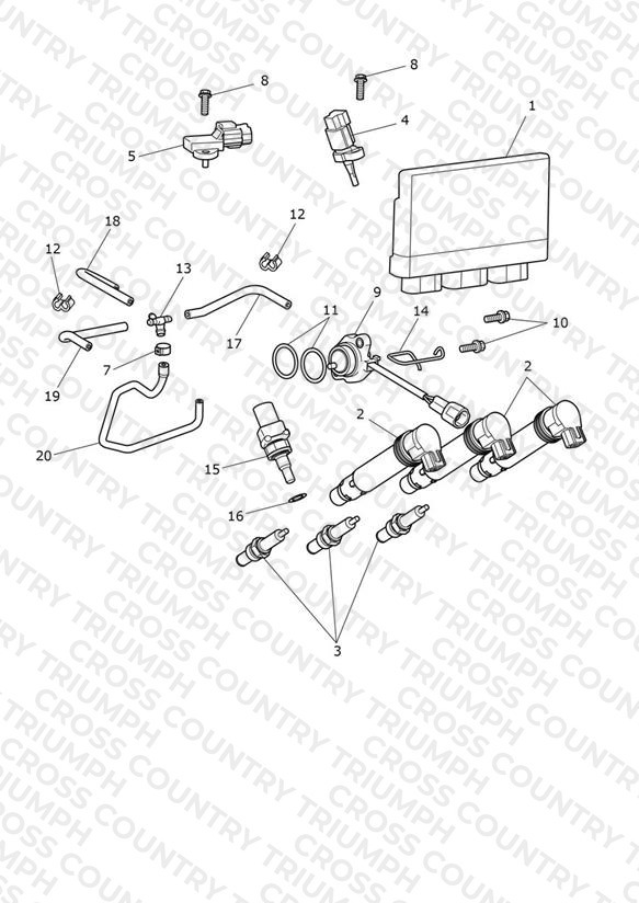 Engine Management System