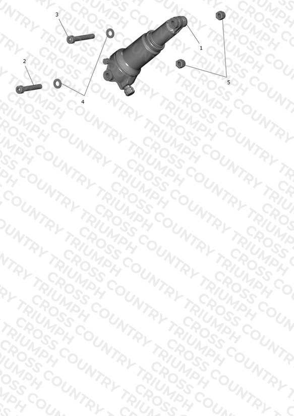 Rear Suspension Unit