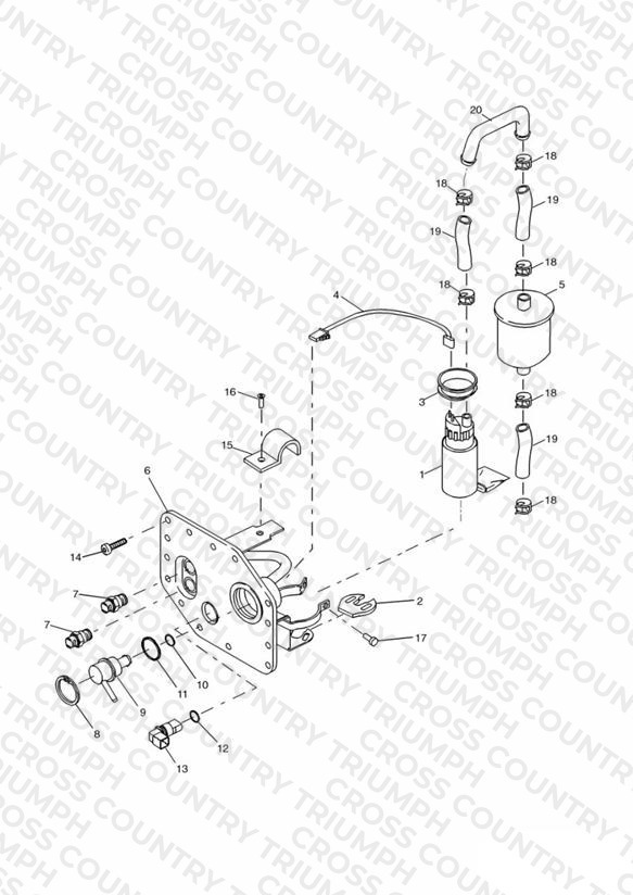 Fuel Pump and Filter 72717 »