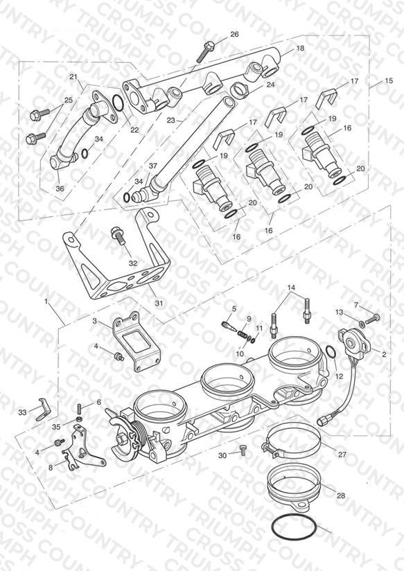 Throttles/Injectors and Fuel Rail > 207554