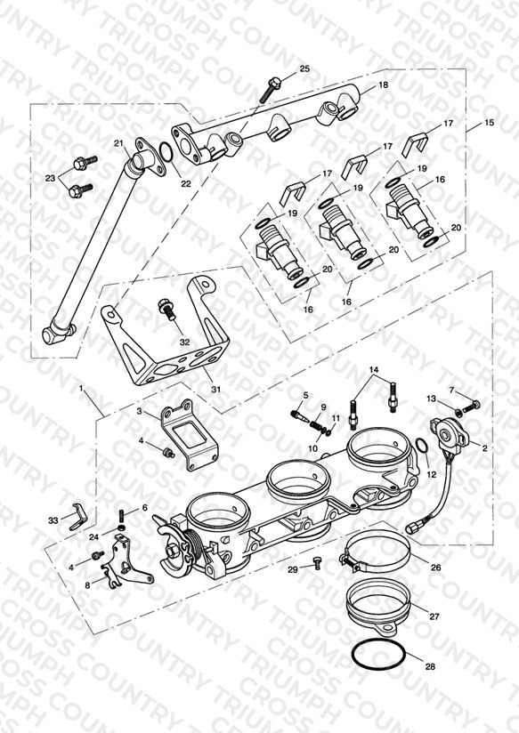 Throttles/Injectors and Fuel Rail 207555 >
