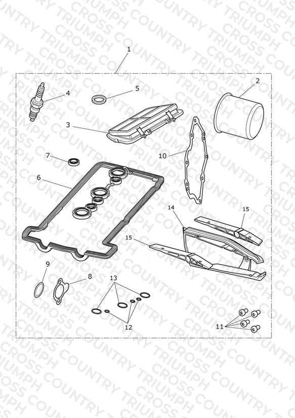 Engine Service Kit - 745921 > All Expt BR & IN & - 946794 > BR & IN Only