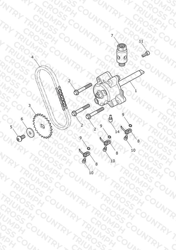 Oil Pump & Drive