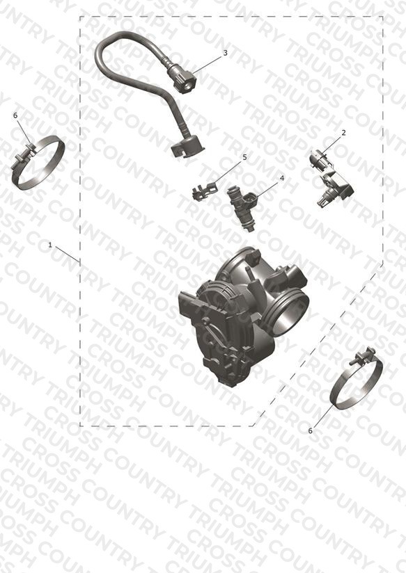 Throttle Bodies