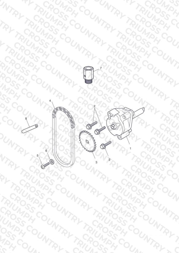 Oil Pump & Drive