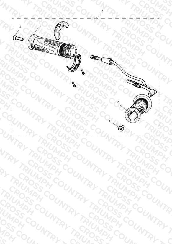 Heated Grip Kit