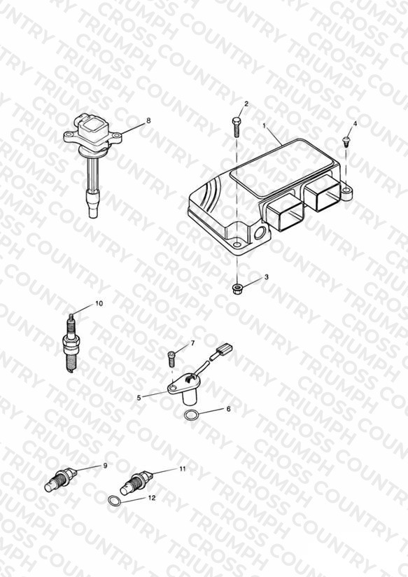 Engine Management System