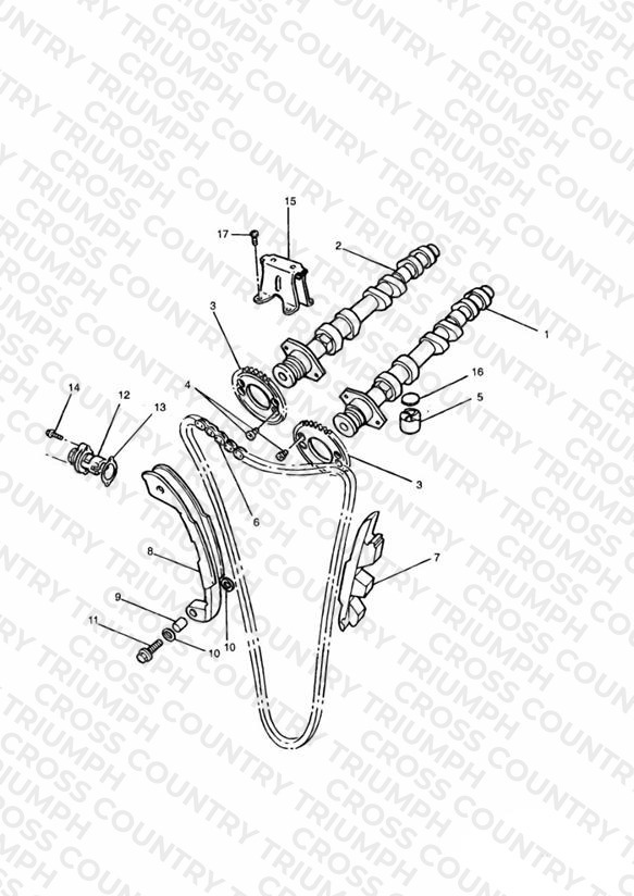 Camshaft and Drive