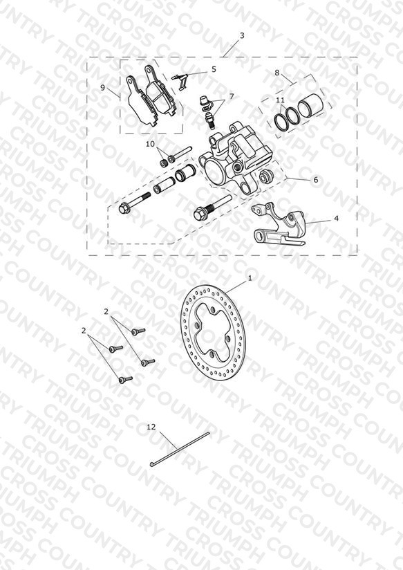 Rear Brake & Disc