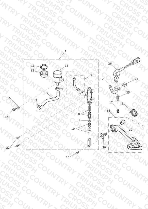 Rear Brake Master Cylinder, Reservoir & Pedal