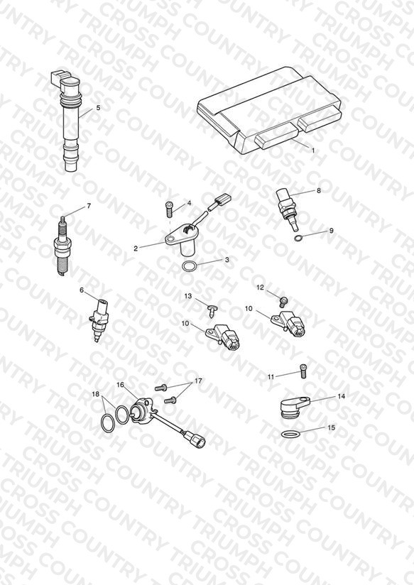 Engine Management System