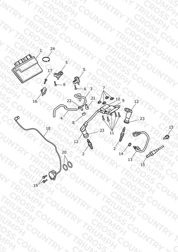 Engine Management System