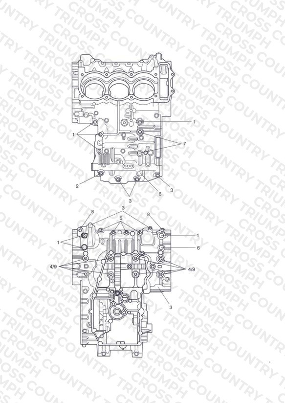 Crankcase Bolts