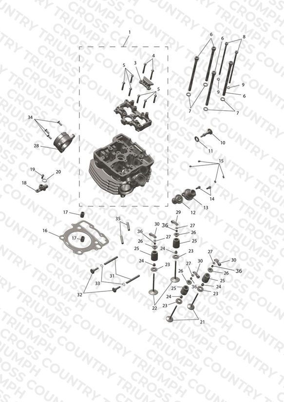 Cylinder Head & Valve Drive