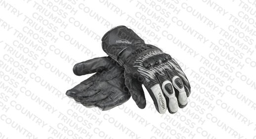 Arena Glove
