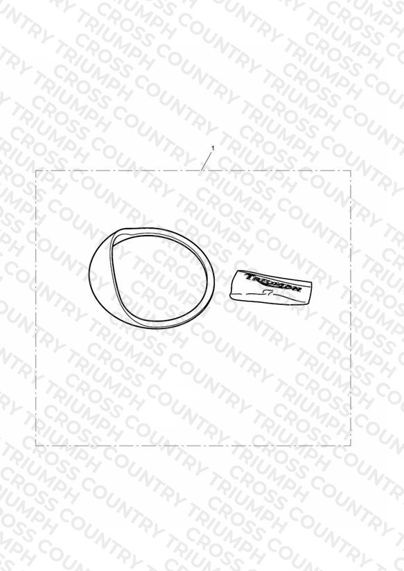 Instrument Visor