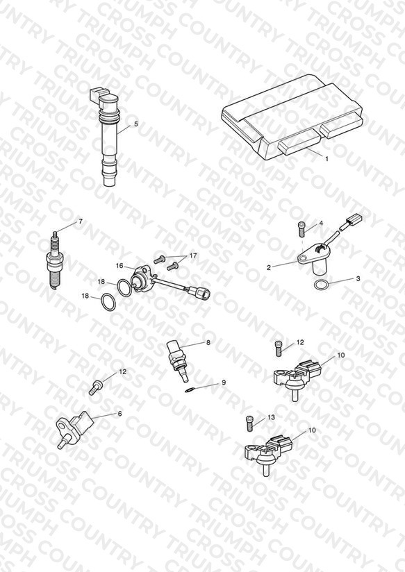 Engine Management System