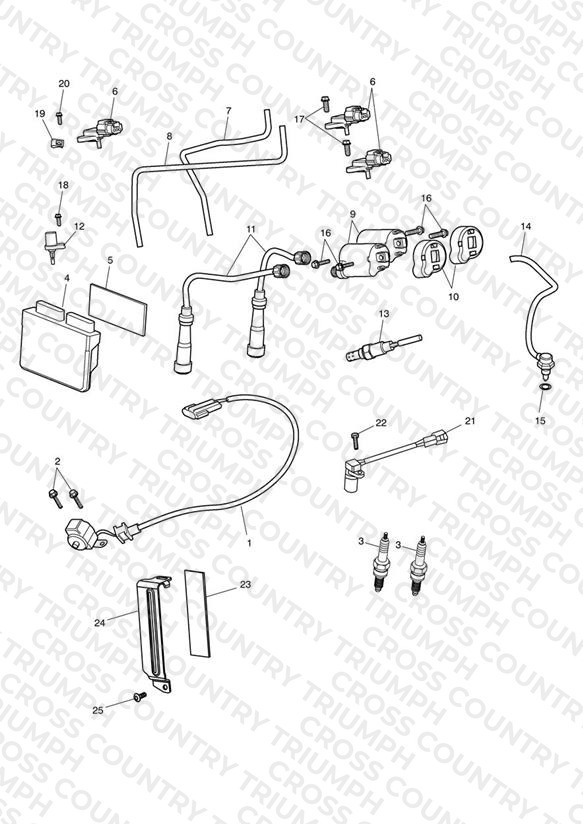 Engine Management System