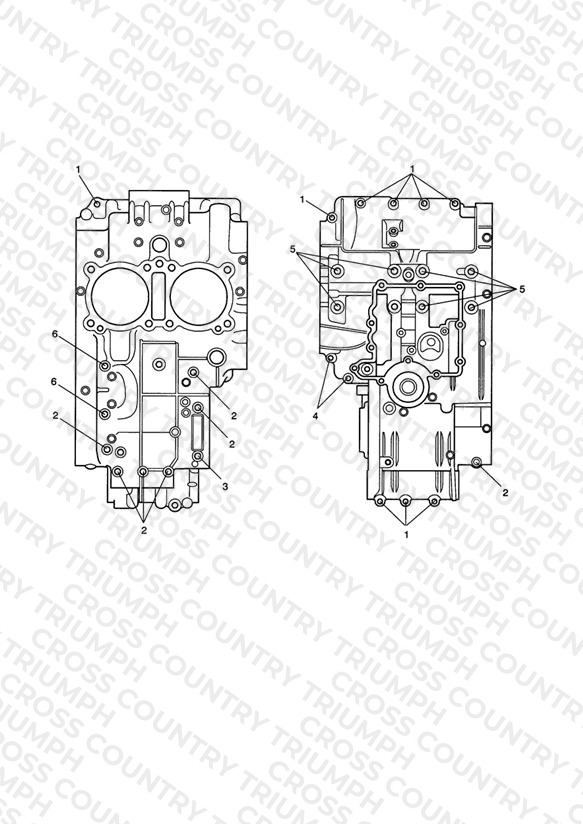Crankcase Bolts
