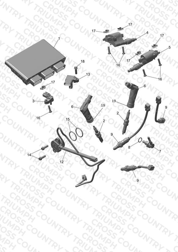 Engine Management System