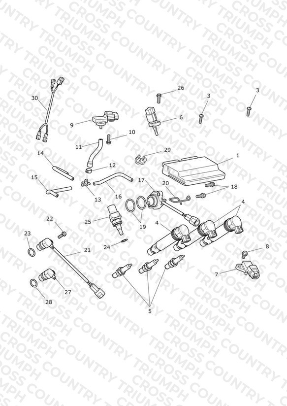 Engine Management System