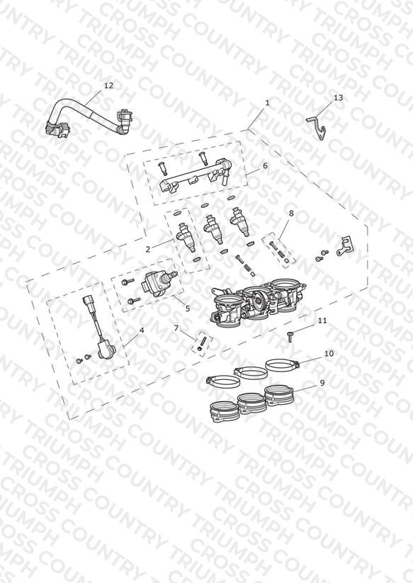 Throttles, Injectors and Fuel Rail